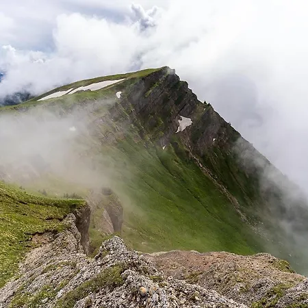 Gruenes Allgaeu
