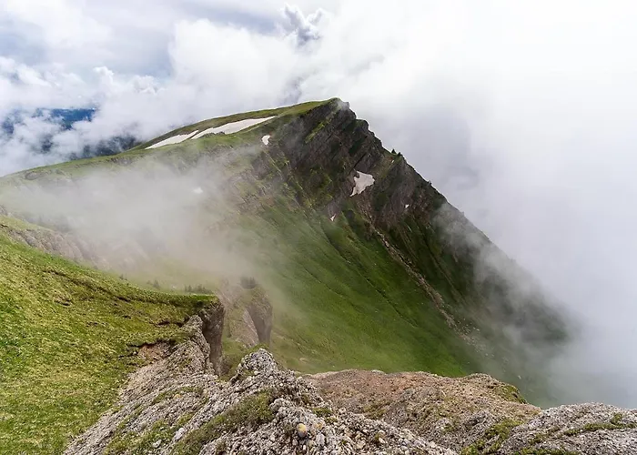 Gruenes Allgaeu
